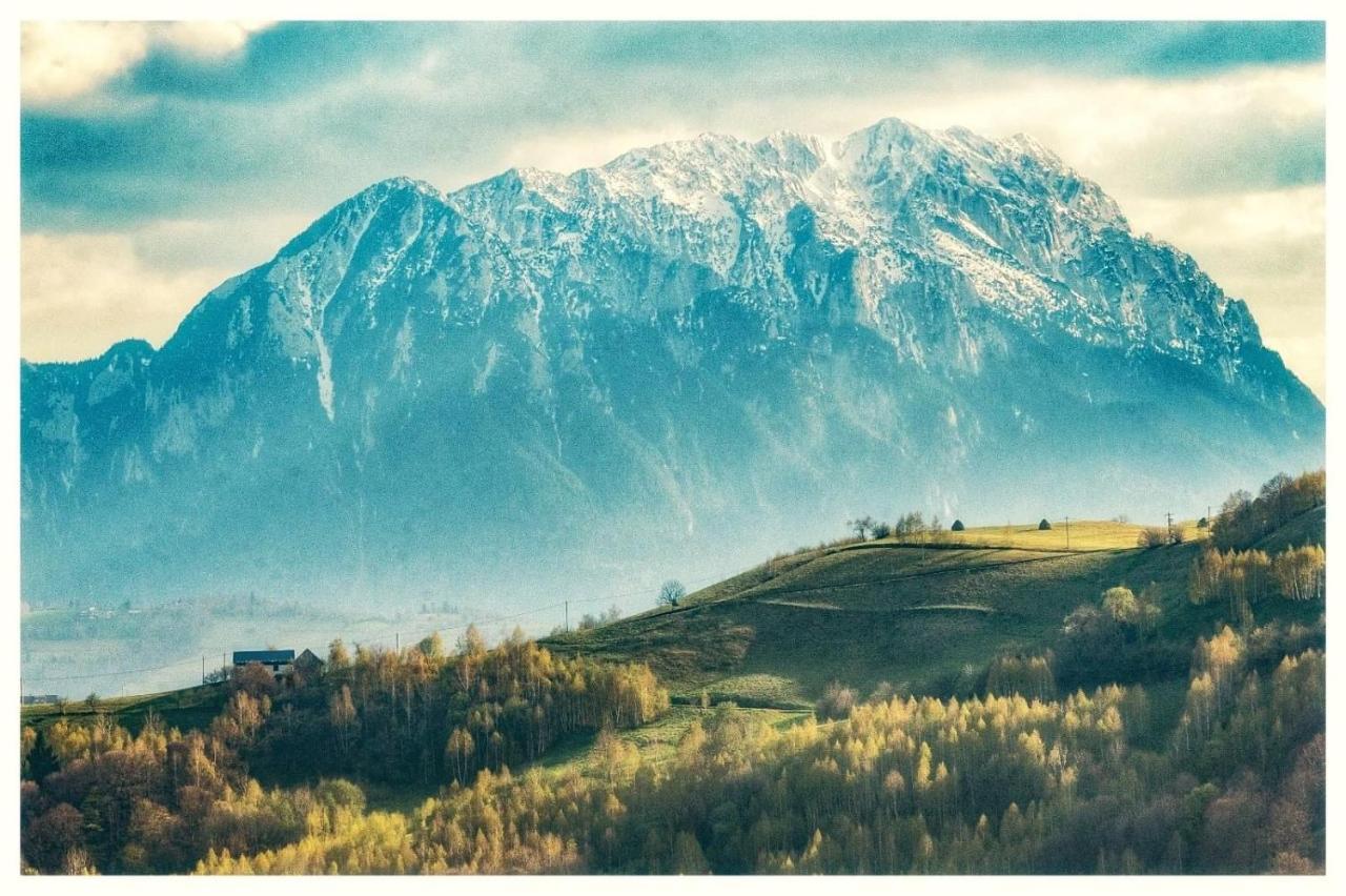 Vilă Casa Fratila *