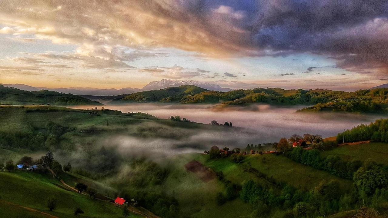 Vilă Casa Fratila