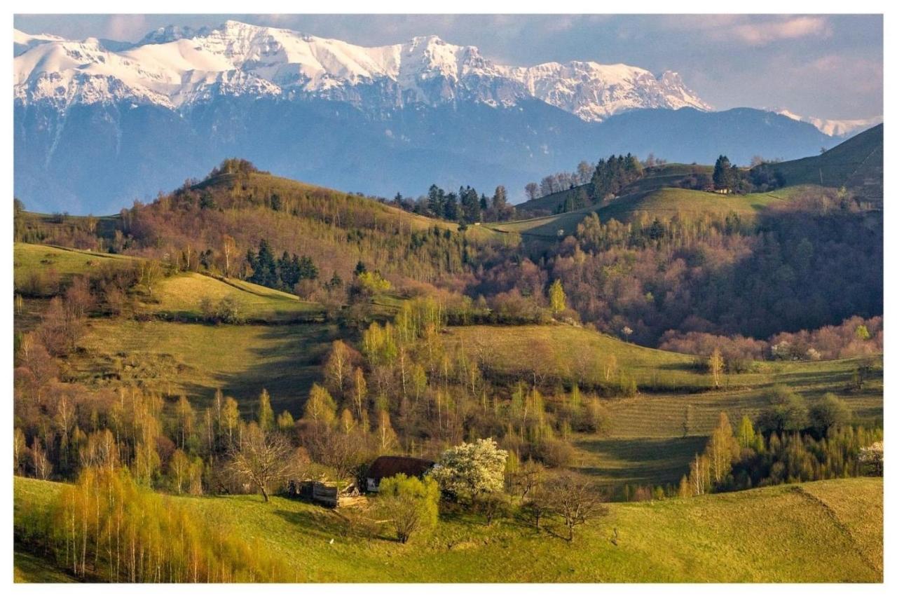 Casa Fratila * Holbav